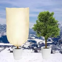 OEM Winterbeschermung für Palmenbäume, 80 x 100 cm, 80 g/m² dick, beige, scheurfest, mit Rits-Trekkoord
