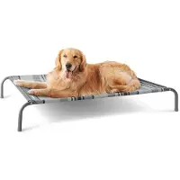 Markenlos Hundebett erhöht für große Hunde - Grau, geeignet für Innen und Außen, Camping - Größe L: 124 x 80 cm, Höhe: 20 cm