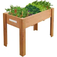 StarTech.com Hochbeet auf Beinen - Erhöhtes Pflanzbeet aus Holz - Für innen und außen - Mit Folieneinsatz - Garten, Balkon & Terrasse - 182,9×58,4×76,2 cm