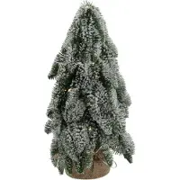 HBX natural living Weihnachtsbaum Dekoration Nobilis Schnee 25 LED grün 33cm