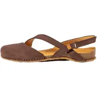 El naturalista Panglao Brown 40