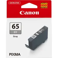 Canon CLI-65GY Tinte Grau, Grau, Tinte auf Farbstoffbasis, 12,6 ml, 1 Stück(e), 595 Seiten, Einzelpackung