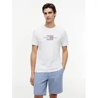 Tommy Hilfiger T-Shirt "SCRIPT FLAG REGULAR TEE" aus Jersey mit Flag-Grafik