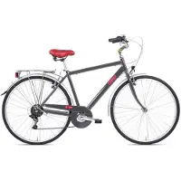 Letoule LaFolie – City Bike 28 – 6V Alloy Man – Dunkelgrau