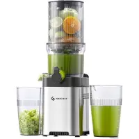 Amzchef CE-ZM1902M-SV Slow Juicer (Silber)
