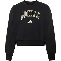Adidas V-Ausschnitt Sweatshirt Mädchen Seasonals Collegiate Typography