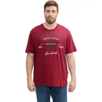 Tom Tailor T-Shirt mit Logo-Print