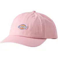 Dickies Hardwick Kappe
