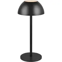 TRIO LED-Akku-Tischlampe Ricardo, schwarz, Höhe 30 cm, Kunststoff