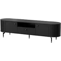 Feldmann-Wohnen Lowboard Zama TV-Unterschrank 180x40x49cm 2-türig Farbe wählbar
