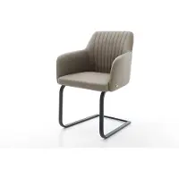 DELIFE Freischwinger Greg-Flex Echt-Leder Schlamm Freischwinger flach Schwarz Taschenfederkern