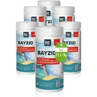 Höfer Chemie 12x 1 kg BAYZID Chlortabs 20g schnell löslich