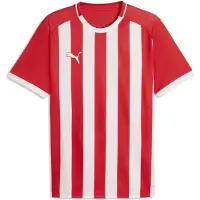 Puma Teamliga Striped Trikot Kurzarm Herren - Rot / Weiß | Größe: 3XL