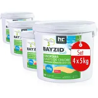Höfer Chemie 4x5 kg BAYZID Chlortabs 200g langsam löslich für langanhaltende Wasserdesinfektion