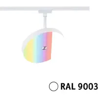 Paulmann URail LED Spot Hildor