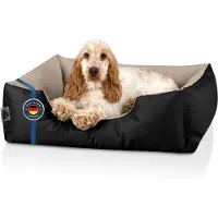 BedDog Hundebett M - Hundekissen - Hundekorb - Hundecouch - Hundesofa - Bezug abziehbar, Waschbar, für Kleine Hunde