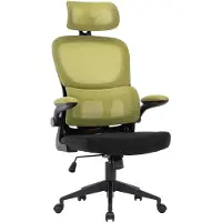 Trisens Flexibler Bürostuhl in moderner Mesh-Optik ergonomischer Schreibtischstuhl mit Nacken- und Lordosenstütze Gamingstuhl mit atmungsaktiver Netzrückenlehne und Wippfunktion ,Farbe:Schwarz/Grün