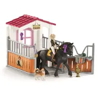 Schleich Pferdeclub Pferdebox Tori Und Prinzessin Figur