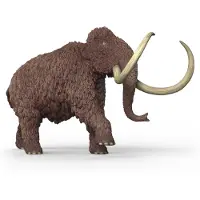 Schleich 15053, 5 Jahr(e), Mehrfarbig, Kunststoff