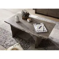 MASSIVMOEBEL24.DE Couchtisch Akazie 120x60x45 Akazie grau lackiert PURE ACACIA #427