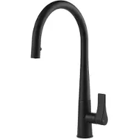 Gessi 17153, Herunterziehen, Schwarz, Drehventile, Einzelbild, 3/8", Typ C