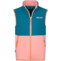 TROLLKIDS - Kid's Kjerag Vest - Fleeceweste Gr 110 bunt