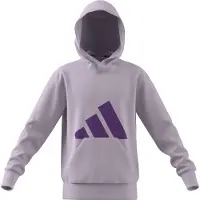 Adidas Kinder Kapuzensweat Essentials Kids