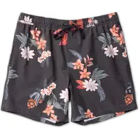 Roark - Shorey - Badehose Gr S grau