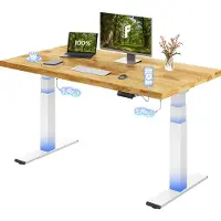 FlexiSpot E200 Höhenverstellbarer Schreibtisch 140x80cm, 27MM EICHE MASSIVHOLZ Finger-Joint Tischplatte, 200KG Tragkraft, 2 Motoren, USB-Anschluss