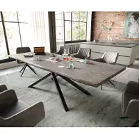 DELIFE Esstisch Edge 260x100 Akazie Platin Kreuzgestell Rechteck Schwarz Live-Edge