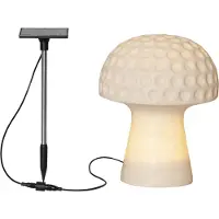 Star Trading Solarleuchte ,Sandy' , Pilz aus Sandstein , Dämmerungssensor , naturweiß , H 24cm