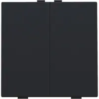 Niko Home Control Doppelter Druckknopf Schwarz Beschichtet - 161-51002