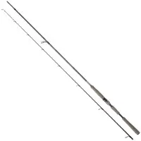 Daiwa Saltist Ags Iii Spinnrute