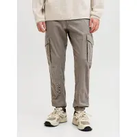 Jack & Jones Cargohose "PAUL FLAKE", Herren, Gr. 30, Länge 34, beige (falcon), Web, Obermaterial: 98% Baumwolle, 2% Elasthan, unifarben, bequem normal, Hosen Cargohose, Baumwollmischung, regular fit