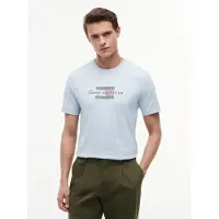 Tommy Hilfiger T-Shirt "SCRIPT FLAG REGULAR TEE" aus Jersey mit Flag-Grafik