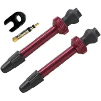 Pnk Tubeless Presta Ventile 2 Einheiten
