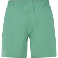 Protest Prtbaky Beachshort frosty green (657) XS