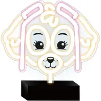 Forever Neon LED Ständer Paw Patrol - Skye Kinderlampe OW-120546