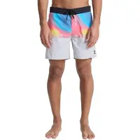 Quiksilver Boardshorts "Everyday 16", Herren, Gr. 34L, microchip wordblock, Obermaterial: 100% Microfaser;, Hosen Boardshorts