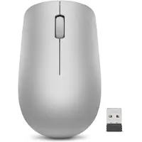 Lenovo Idg 530 Platinum Funkmaus