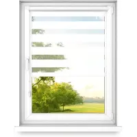 Time4blinds - Doppelrollo ohne Bohren - Zebra Rollos für Fenster und Türen - Klassisch Weiß, 500x800, Rechts