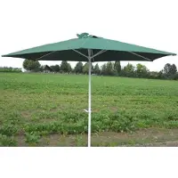 Dema Alu-Sonnenschirm mit Griff 300 cm Aktion, grün