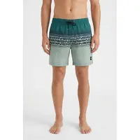 O'Neill Logo Stripe 16'' Swimshorts green heritage stripe (26034) M