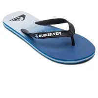 Quicksilver Flip-Flops AQYL101242_BYJ2 für Herren