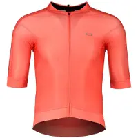 Oakley Endurance Tempo Jersey paloma (41I) L