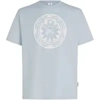 O'Neill Musthave Graphic T-shirt spindle (15091) S