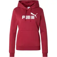 Puma Essential Nº1 Logo Kapuzenpullover
