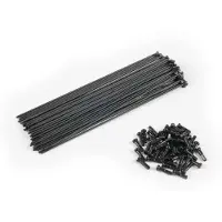 Eclat Pg Speichen Und Nippel Kit 40 Einheiten