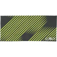 CMP Logo