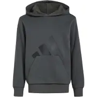 Adidas Essentials Kapuzenpullover